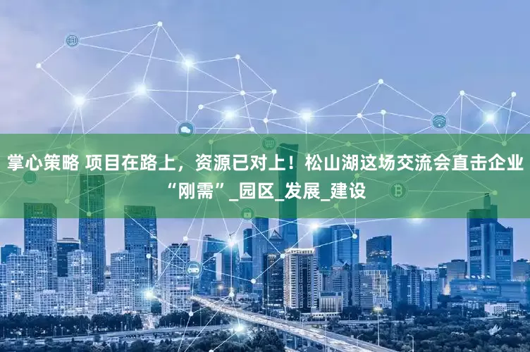 掌心策略 项目在路上，资源已对上！松山湖这场交流会直击企业“刚需”_园区_发展_建设