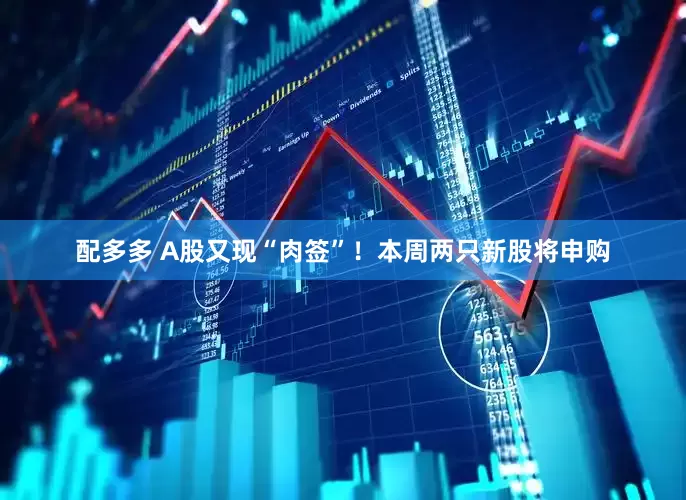配多多 A股又现“肉签”！本周两只新股将申购