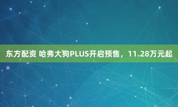 东方配资 哈弗大狗PLUS开启预售，11.28万元起