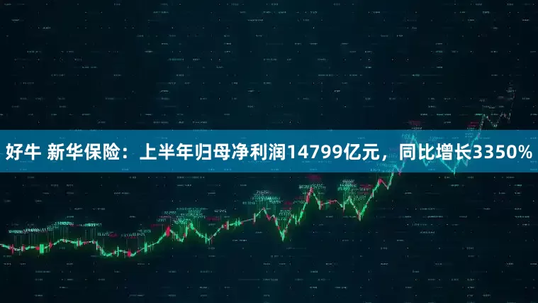 好牛 新华保险：上半年归母净利润14799亿元，同比增长3350%
